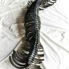 izanne wiid spiritus asper steel 01