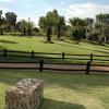 izanne wiid protea bench 01