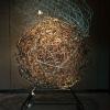 izanne wiid unfold 02