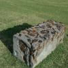izanne wiid protea bench 02