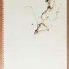 izanne wiid lifedrawing 084