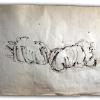 izanne wiid rhino 005