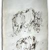 izanne wiid rhino 002